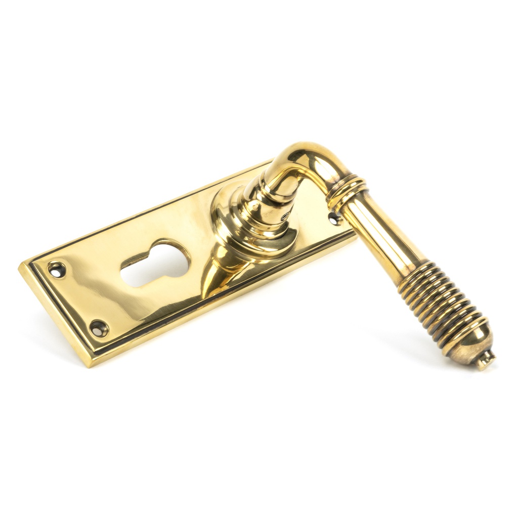 Aged Brass Reeded Lever Euro Set in-situ