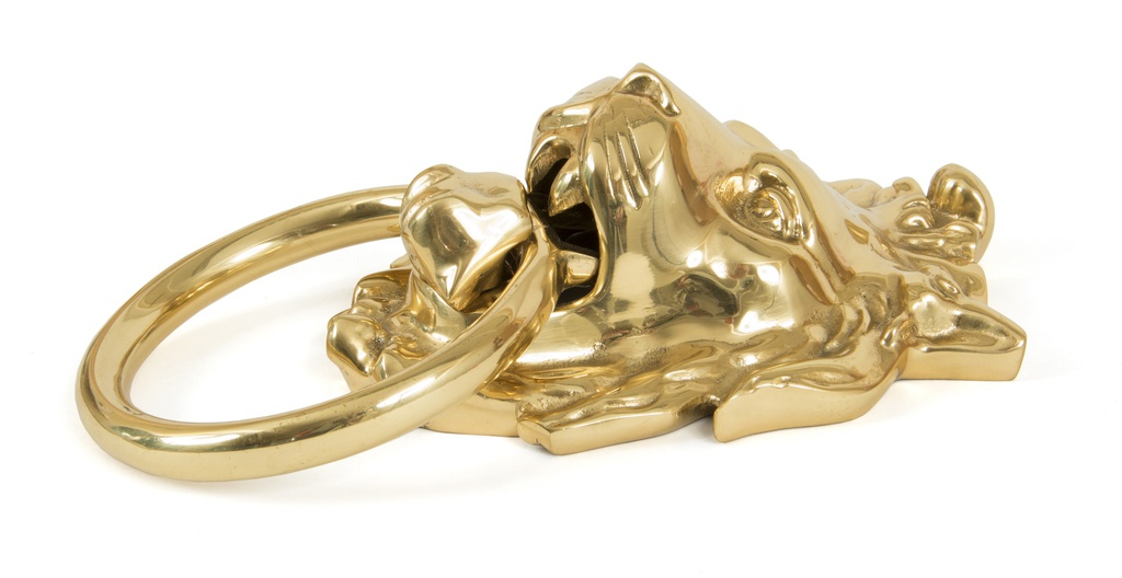 Polished Brass Lion Head Knocker in-situ