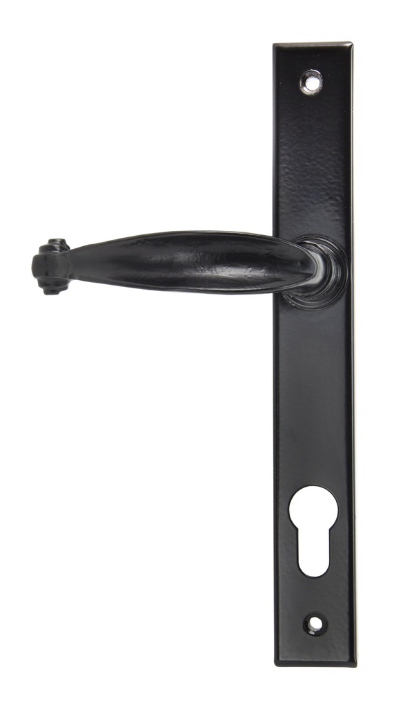 Black Cottage Slimline Lever Espag. Lock Set in-situ