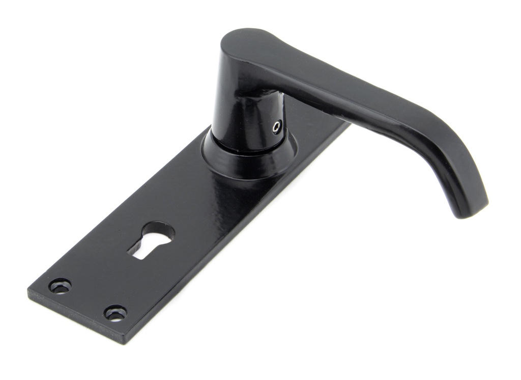 Black Deluxe Lever Lock Set in-situ