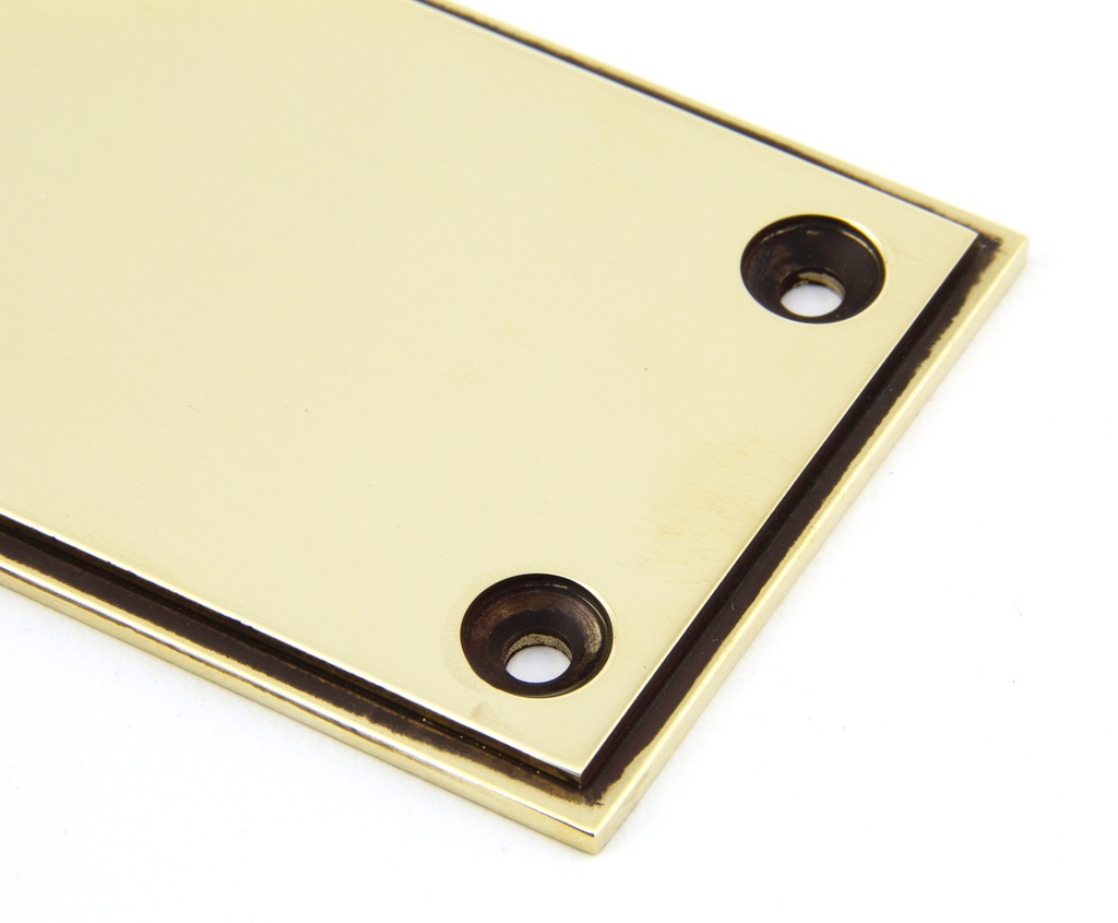 Aged Brass 425mm Art Deco Fingerplate in-situ