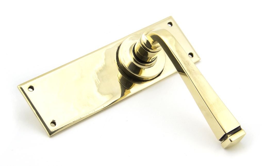 Aged Brass Avon Lever Latch Set in-situ