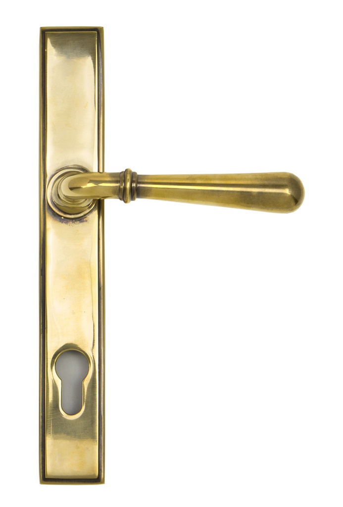 Aged Brass Newbury Slimline Lever Espag. Lock Set in-situ