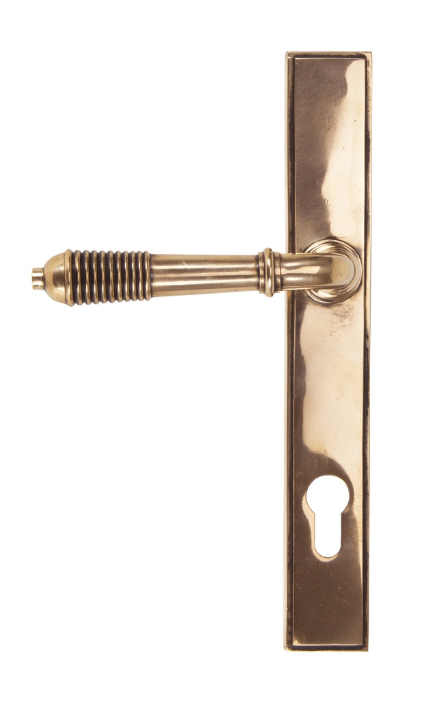 Polished Bronze Reeded Slimline Lever Espag. Lock in-situ