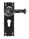 Black Cottage Lever Euro Lock Set in-situ