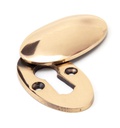 Polished Bronze Oval Escutcheon &amp; Cover in-situ