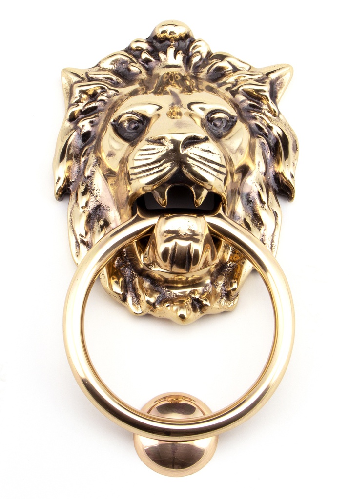 Polished Bronze Lion Head Knocker in-situ