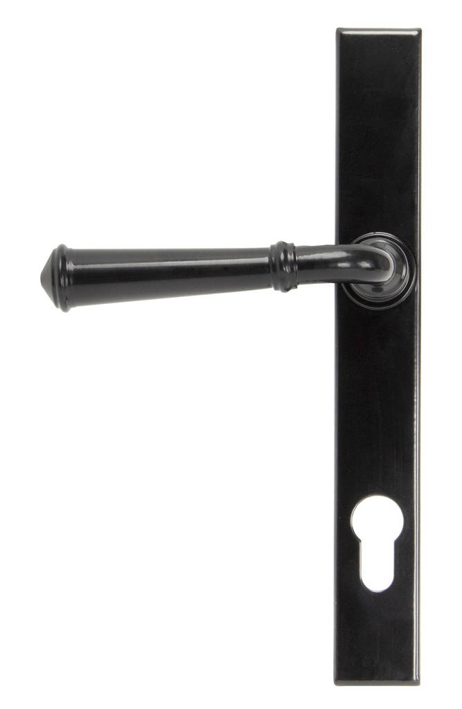 Black Regency Slimline Lever Espag. Lock Set in-situ