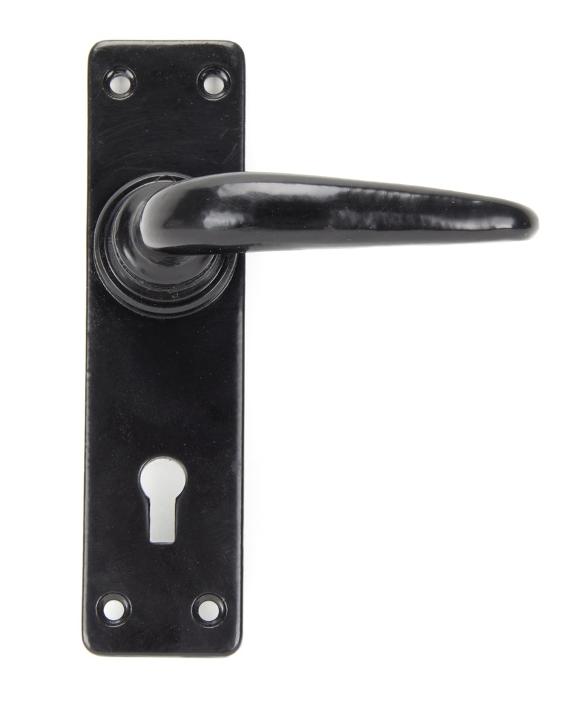 Black Smooth Lever Lock Set in-situ