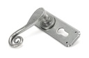 Pewter Monkeytail Lever Euro Lock Set in-situ