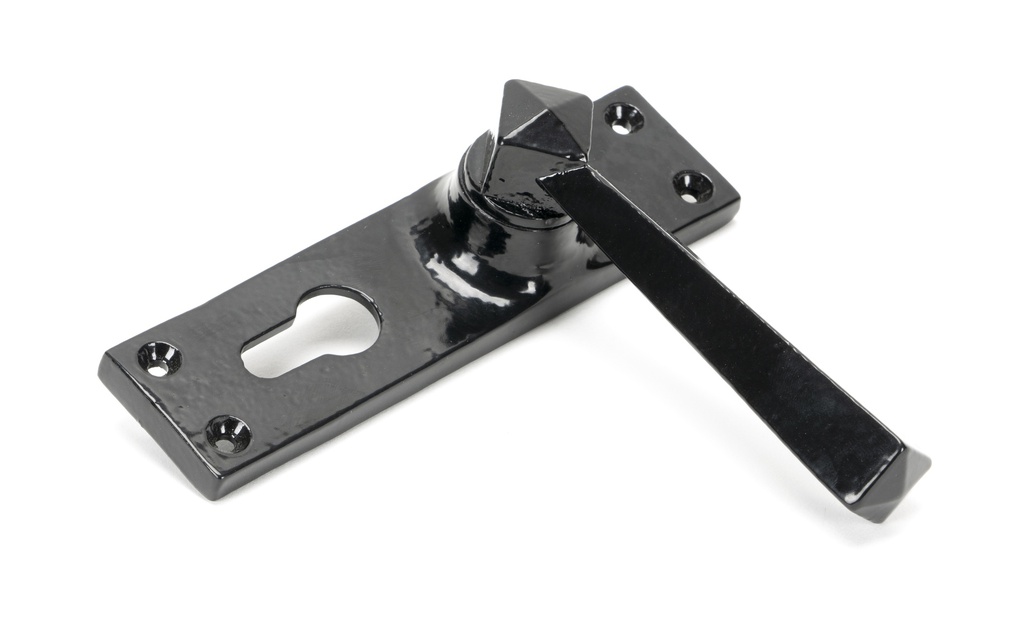 Black Straight Lever Euro Lock Set in-situ