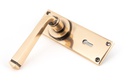 Polished Bronze Avon Lever Lock Set in-situ