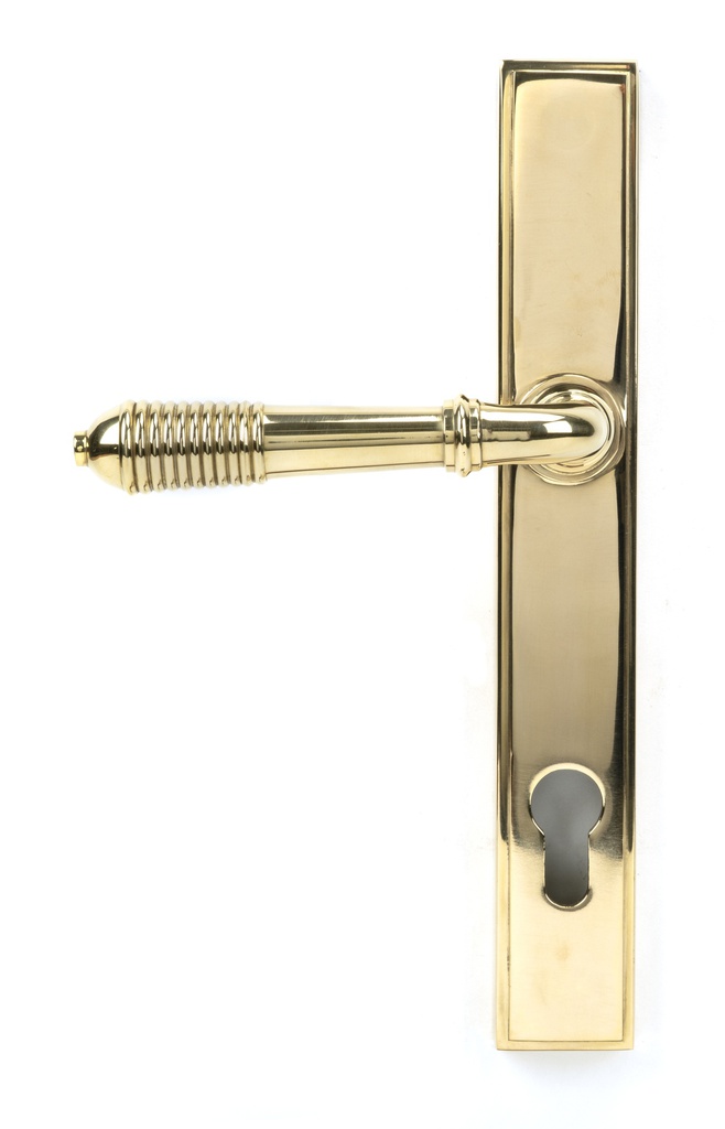 Polished Brass Reeded Slimline Lever Espag. Lock Set in-situ