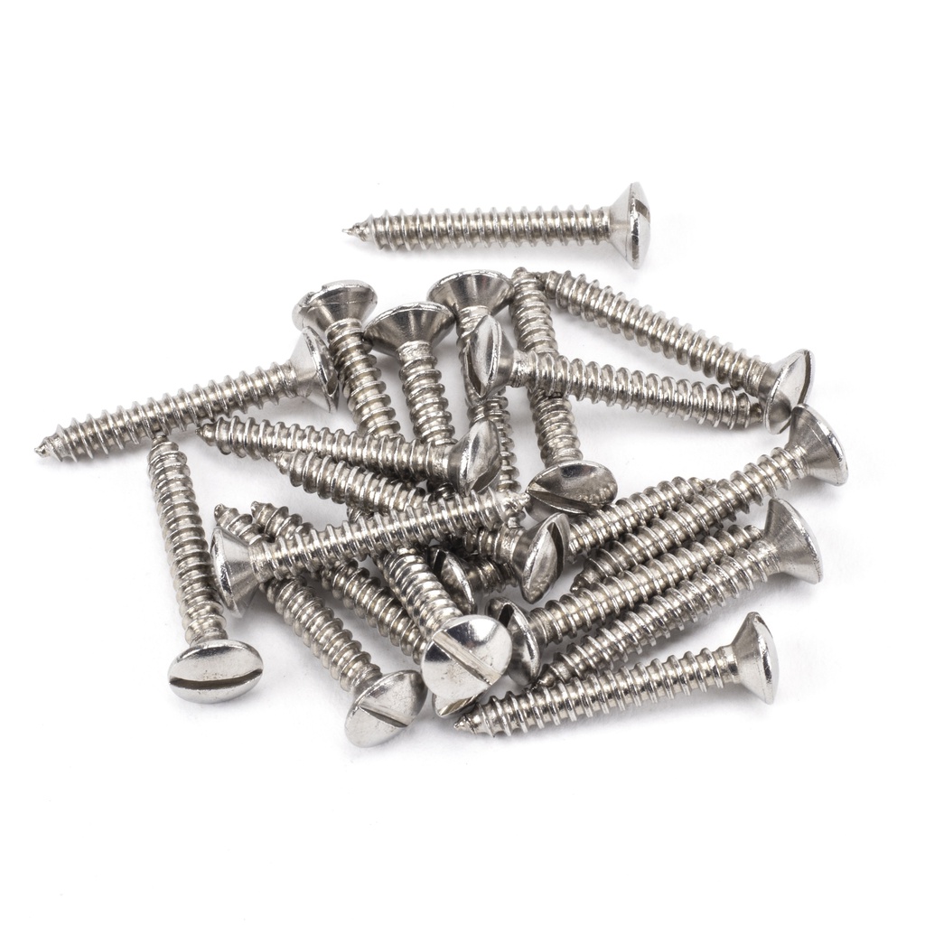 Stainless Steel 6x1&quot; Countersunk Raised Head Screws (25) - 92311