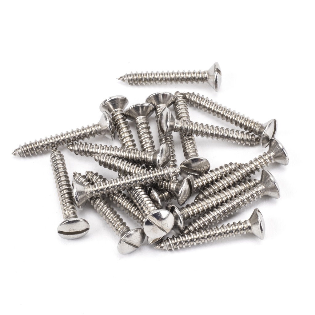 Stainless Steel 6x1" Countersunk Raised Head Screws (25) - 92311