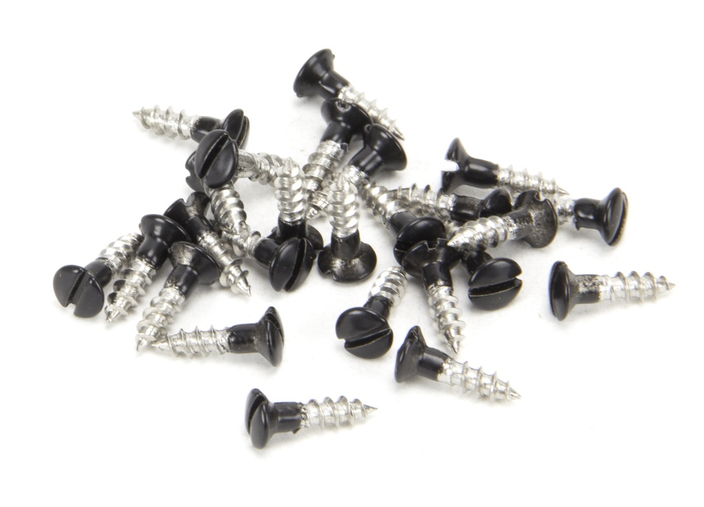 Black SS 3.0 x 12 Csk R/Head Screws (25) - 83748