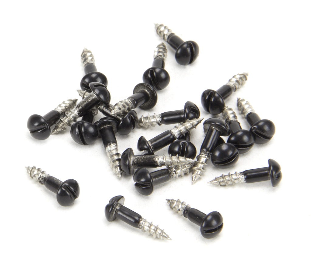 Black SS 3.0 x 12 Roundhead Screws (25) - 83754