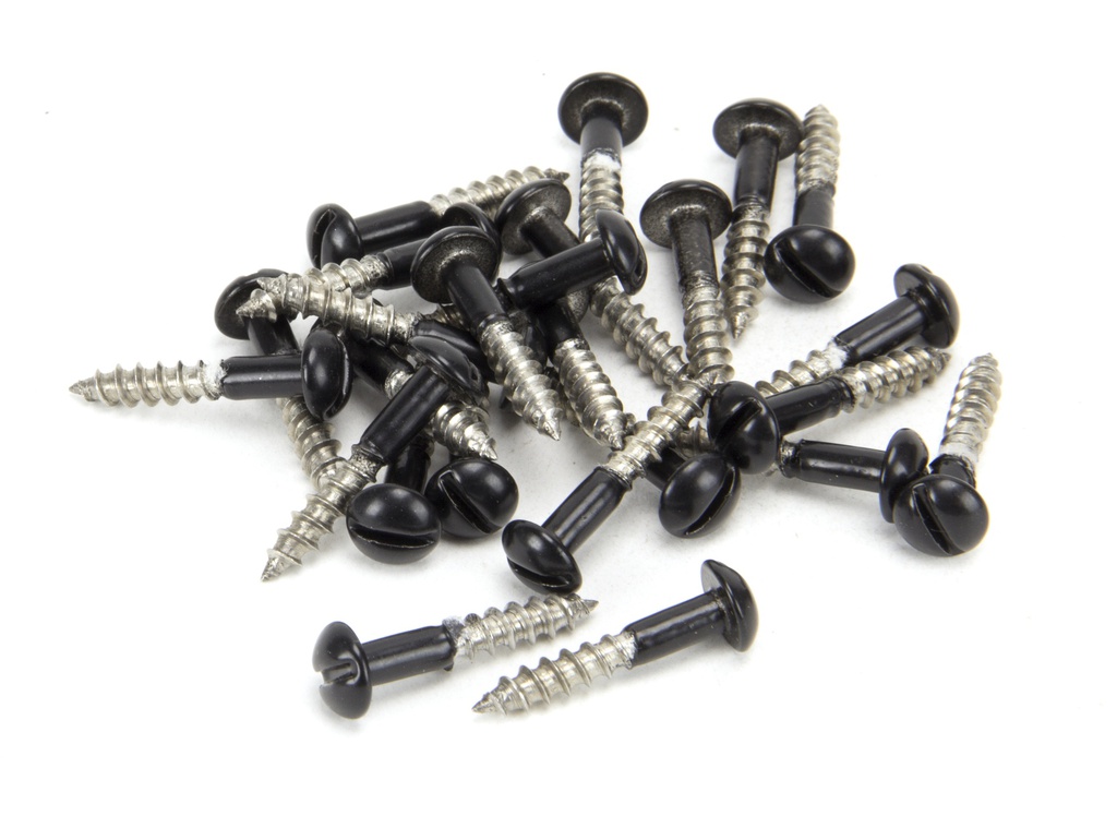 Black SS 3.5 x 20 Roundhead Screws (25) - 83755