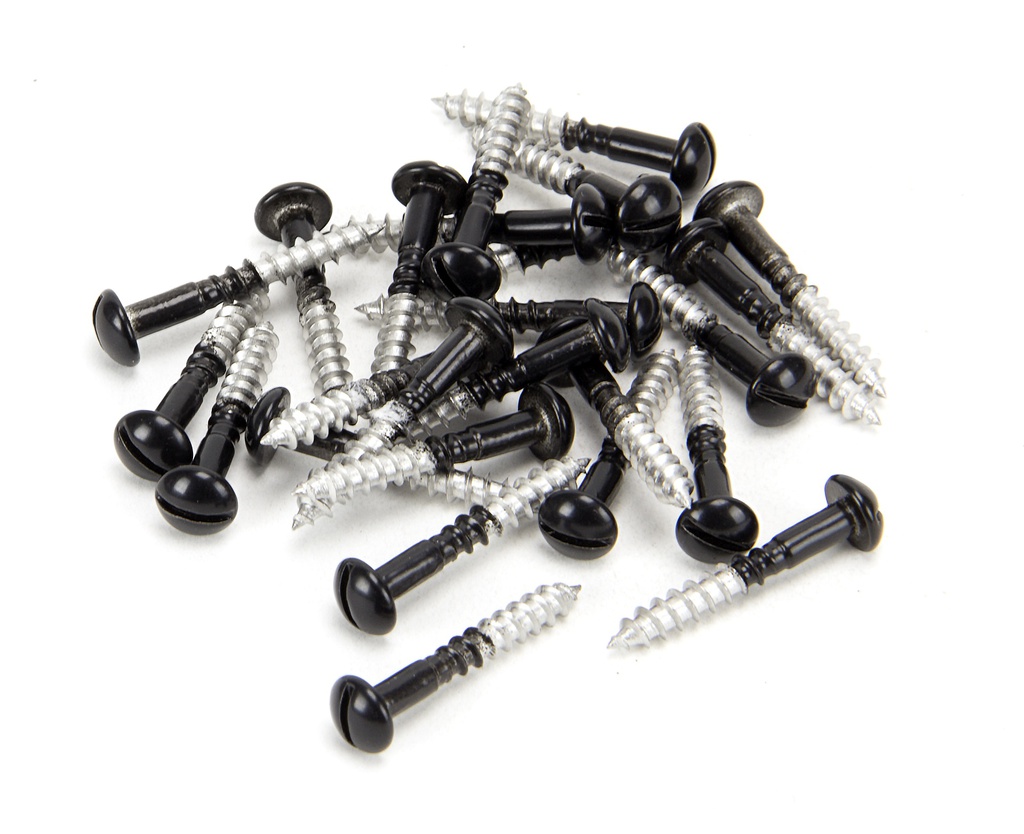 Black SS 3.5 x 25 Roundhead Screws (25) - 83756