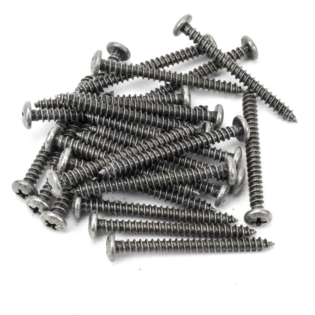 Pewter 10x2&quot; Round Head Screws (25) - 91205