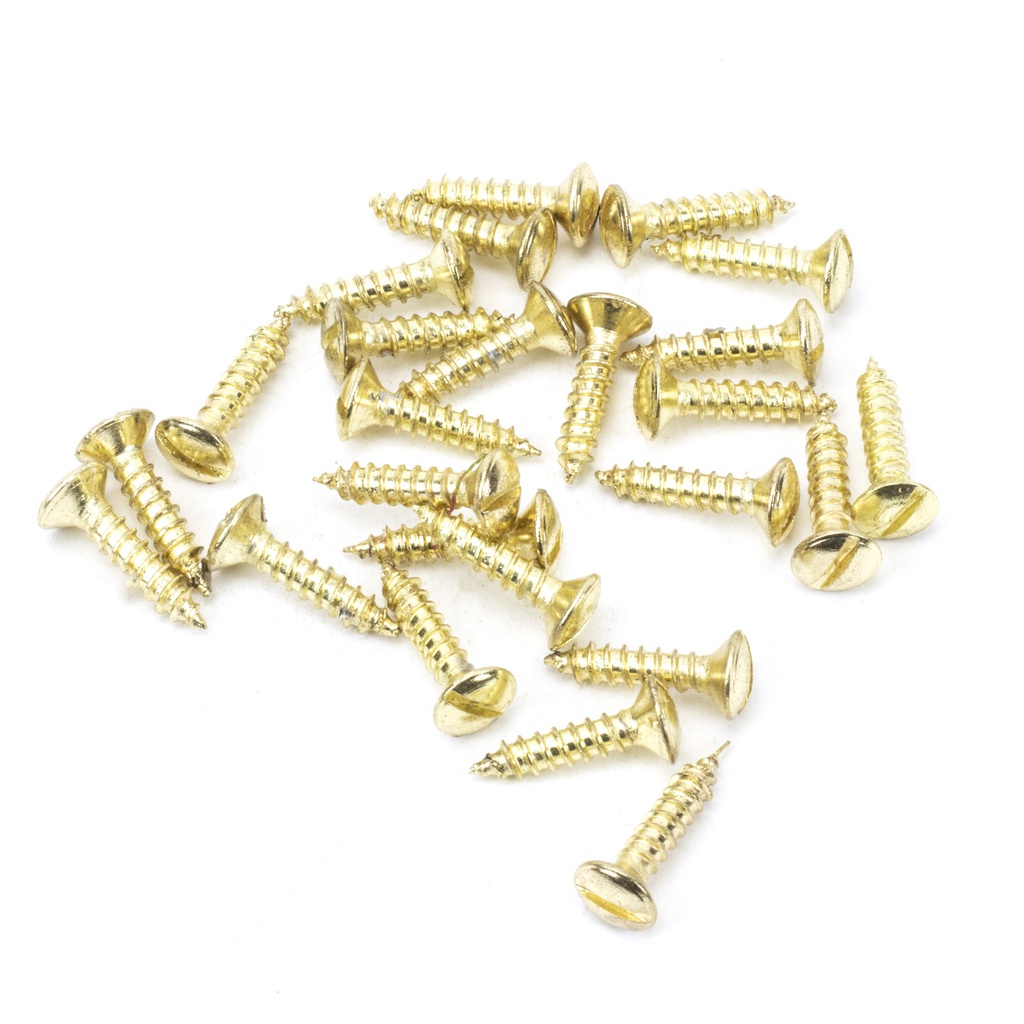 Polished Brass SS 8x¾&quot; Countersunk Raised Head Screws (25) - 91266