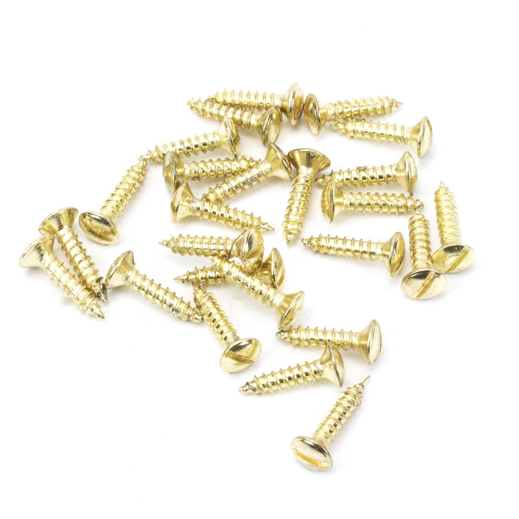 Polished Brass SS 8x¾" Countersunk Raised Head Screws (25) - 91266