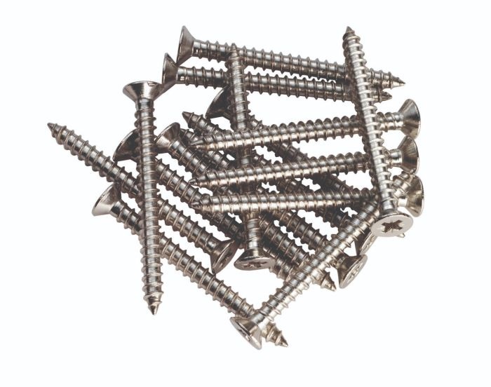 Stainless Steel Screws 5.0 x 31mm t/s 100mm Hinges (pack of 16)