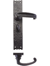 [FF513] Traditional Lever on Bathroom Long Backplate - 10&quot;