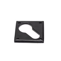 [33236] Black Diamond Euro Escutcheon - 33236