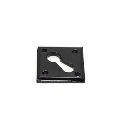 [33965] Black Diamond Escutcheon - 33965