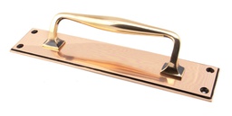 [45383] Polished Bronze 300mm Art Deco Pull Handle on Backplate - 45383