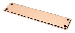 [45393] Polished Bronze 300mm Art Deco Fingerplate - 45393