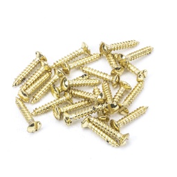 [91264] Polished Brass SS 6x¾&quot; Countersunk Raised Head Screws (25) - 91264