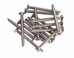 [A1032.700] Stainless Steel Screws 5.0 x 31mm t/s 100mm Hinges (pack of 16)
